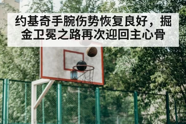 Nikola Jokic basketball training